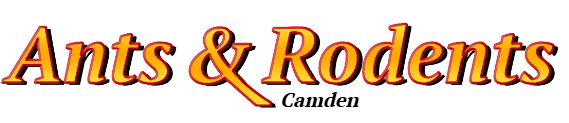 Camden Ant Exterminator & Rodent Control Company Logo